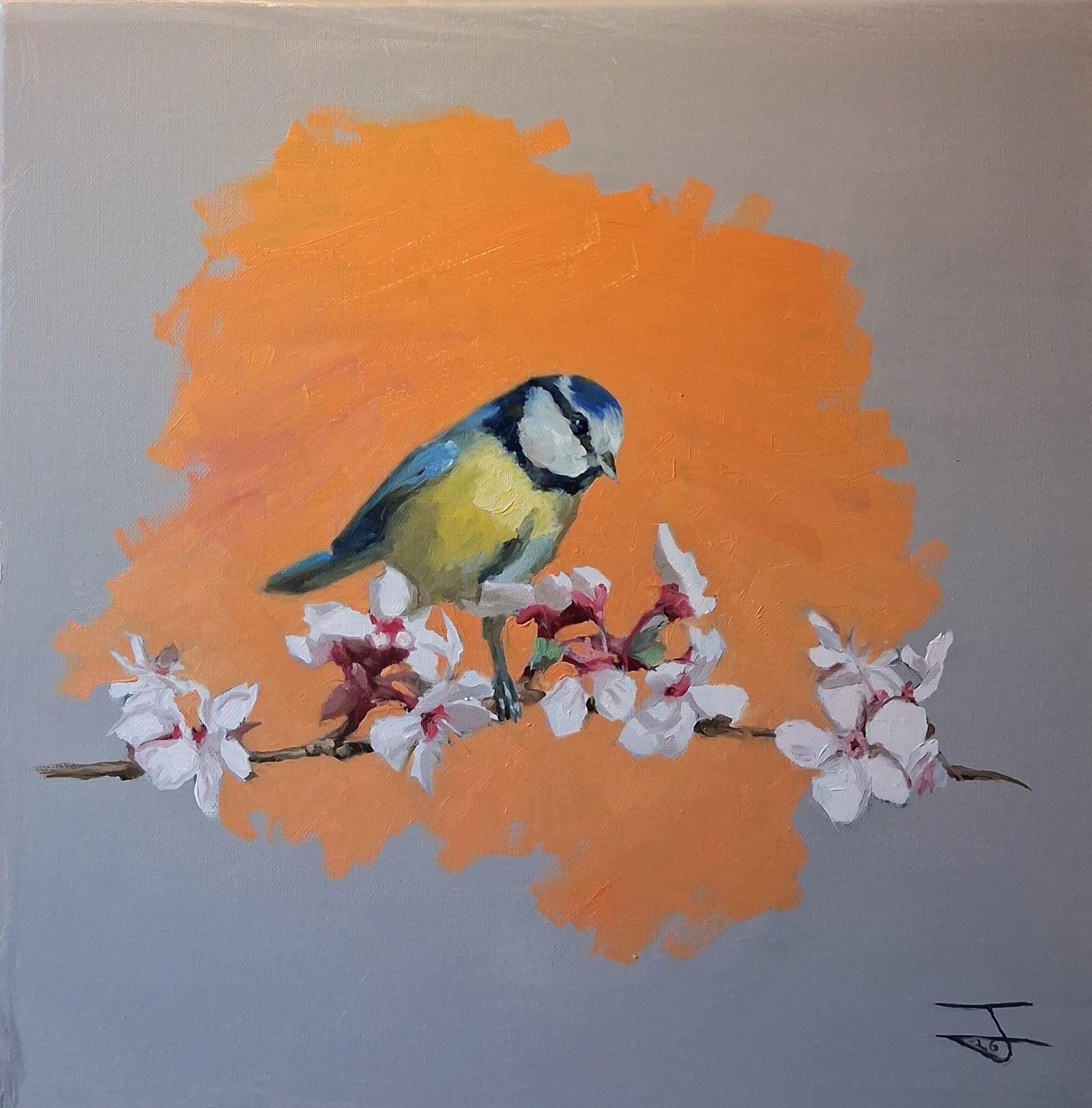 Blue Tit Spring Bloom 001 Oil Painting Original Bird Artwork