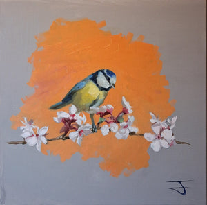 Blue Tit Spring Bloom 001 Oil Painting Original Bird Artwork