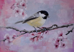 The Coaltit (Spring Blossom) 001