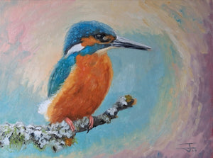 The Kingfisher Original Oil Painting by Steffan Johnson