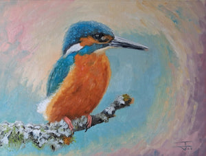 The Kingfisher Original Oil Painting by Steffan Johnson