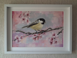 The Coaltit (Spring Blossom) 001