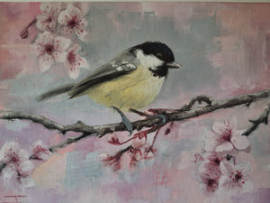 The Coaltit (Spring Blossom) 001