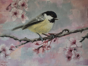 The Coaltit (Spring Blossom) 001