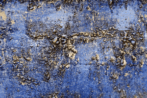 Echo of Midnight – Original Acrylic Painting by Edelgard Schroer