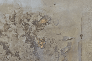 Golden Echoes – Original Textured Abstract Painting by Edelgard Schroer