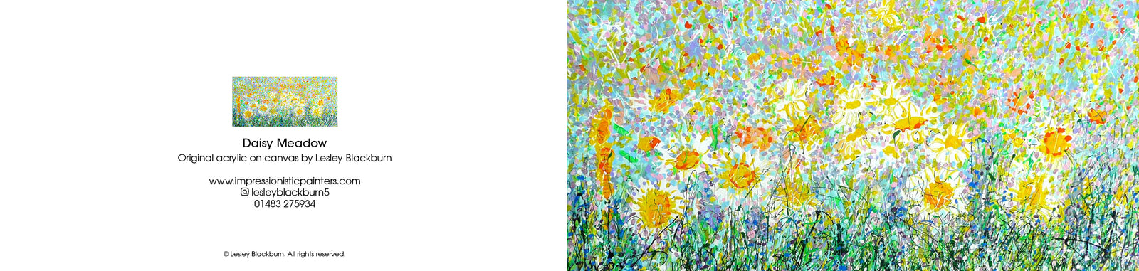 Daisy Meadow – Panoramic Greeting Card by Lesley Blackburn