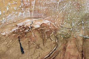Earthbound Echoes – Original Acrylic Painting by Edelgard Schroer