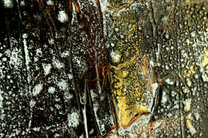 Goldies 2026 – Original Acrylic Triptych by Edelgard Schroer