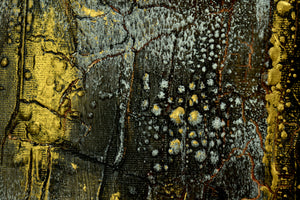 Goldies 2026 – Original Acrylic Triptych by Edelgard Schroer