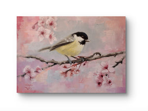 The Coaltit (Spring Blossom) 001