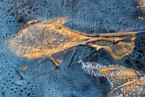 Golden Drift – Original Acrylic Painting by Edelgard Schroer