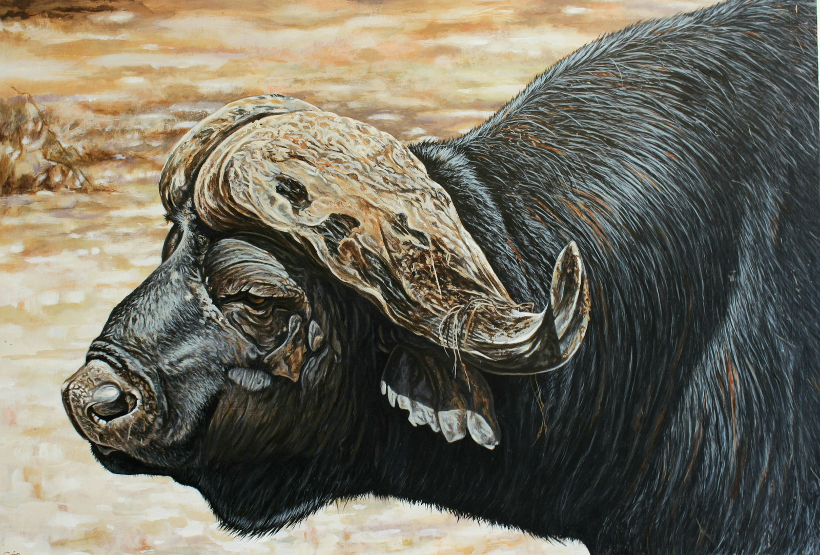 Kruger Boss | African Buffalo Bull Original Painting by Jeff Cain