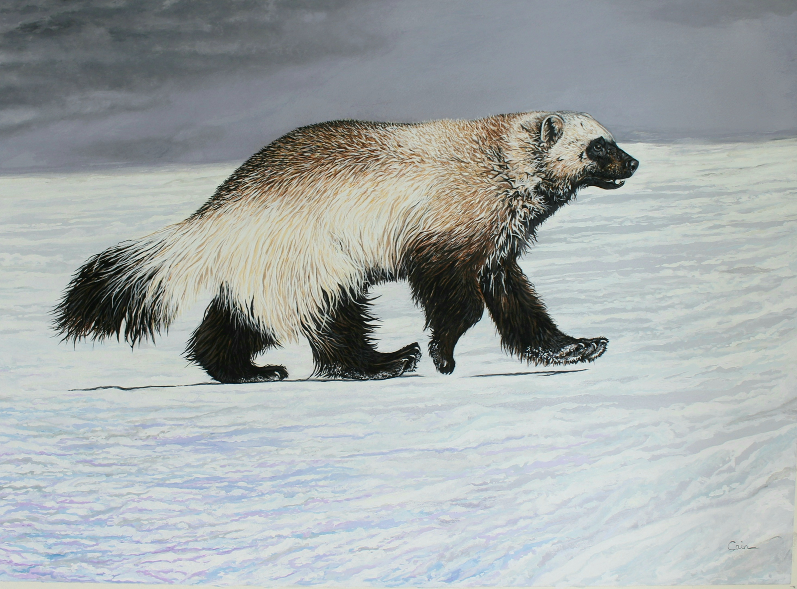 Kamchatkan Winter | Russian Wolverine Wildlife Painting by Jeff Cain