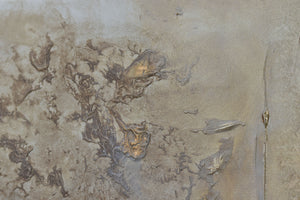 Golden Echoes – Original Abstract Painting by Edelgard Schroer