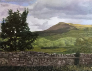 Near Llangorse Brecon Beacons By Steffan Johnson