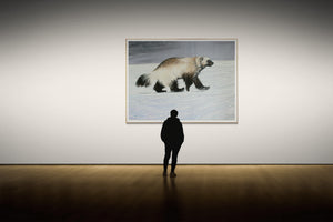 Kamchatkan Winter | Russian Wolverine Wildlife Painting by Jeff Cain