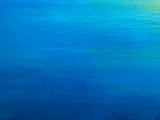 Wild and Free Original Oil Painting