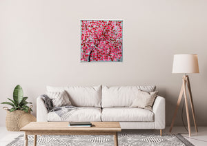 Romantic Dream – Original Pink Blossom Painting by Edelgard Schroer