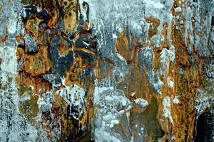 Urban Echoes – Original Acrylic Diptych by Edelgard Schroer